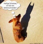 Toller-Schatten.jpg auf www.funpot.net