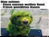 weiter