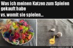 Mit-was-die-Katze-wirklich-spielt.jpg auf www.funpot.net