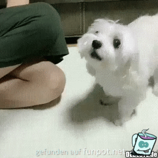 Ich mach mit Ich mach mit