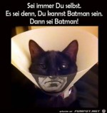 Sei-du-selbst-oder-Batman.jpg auf www.funpot.net