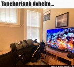 Tauchurlaub-zuhause.jpg auf www.funpot.net