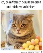 Das-ist-nicht-meins.jpg auf www.funpot.net