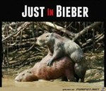 Justin-Bieber.jpg auf www.funpot.net