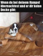 Keine-Decke-bekommen.jpg auf www.funpot.net
