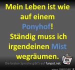Ponyhof.jpg auf www.funpot.net