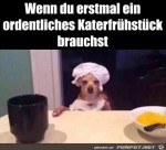 Katerfrhstck-ntig.jpg auf www.funpot.net