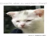 weiter