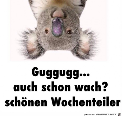 Huhu.png von Ben