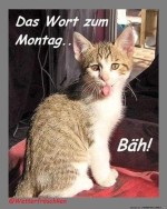 Der-Montag.jpg auf www.funpot.net