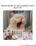 Voll-produktiv.jpg auf www.funpot.net