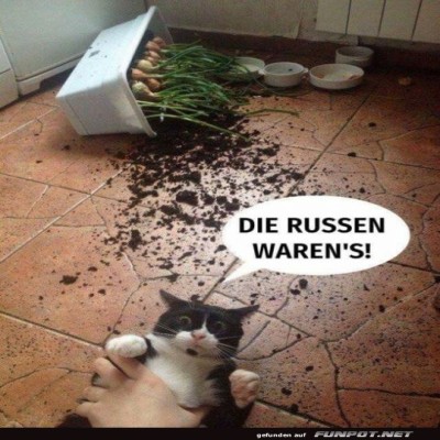 Die-Russen-sind-schuld.jpg von Matilda