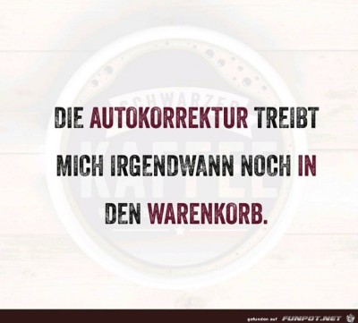 Autokorrektur.jpg von Petzi