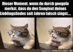 Katze-am-PC.jpg auf www.funpot.net
