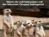 weiter