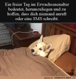 Faul-im-Bett.jpg auf www.funpot.net