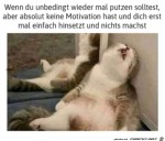 Keine-Lust-auf-putzen.jpg auf www.funpot.net
