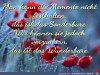 weiter
