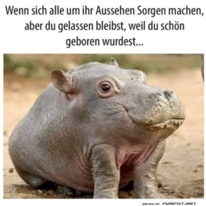 fun-Bild: Schön geboren