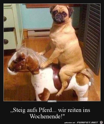 Steig-auf.jpg von Susan