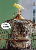 Wie-ist-das-passiert?.jpg auf www.funpot.net