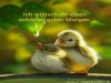 weiter