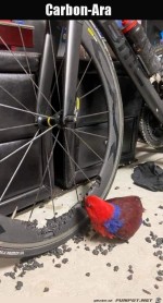 Das-wird-teuer.jpg auf www.funpot.net