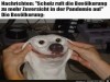 weiter