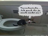 funpot - ein Pot voller Spaß und Sehenswertem