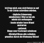 To-do-Liste-von-Katzen.jpg auf www.funpot.net