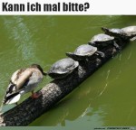 Geht-mal-da-weg.jpg auf www.funpot.net