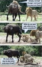 Typisch-Mann.jpg auf www.funpot.net
