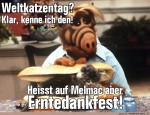 Weltkatzentag.jpg auf www.funpot.net