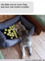 Alle-Blle-an-ihrem-Platz.jpg auf www.funpot.net
