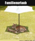 Netter-Familienurlaub.jpg auf www.funpot.net