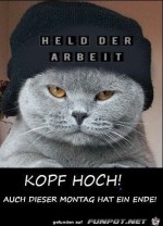 Kopf-hoch.jpg auf www.funpot.net