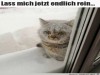 weiter