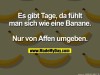 weiter