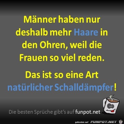 Schalld&auml;mpfer.jpg von Fossy