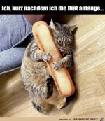 Kurz-nach-Dit-Beginn.jpg auf www.funpot.net
