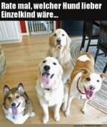 Einer-wre-lieber-ein-Einzelhund.jpg auf www.funpot.net