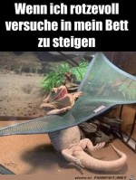 Bisschen-unbeholfen.jpg auf www.funpot.net