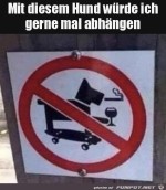 Cooler-Hund.jpg auf www.funpot.net