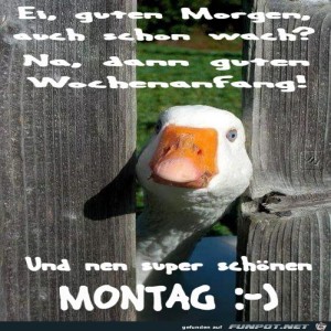Begr&uuml;&szlig;ungsbild