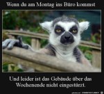 Leider-ist-das-Bro-nicht-eingestrzt.jpg auf www.funpot.net
