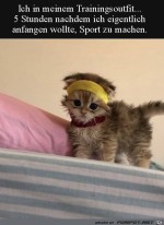 Das-Outfit-passt-schon-mal.jpg auf www.funpot.net