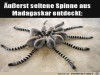 weiter