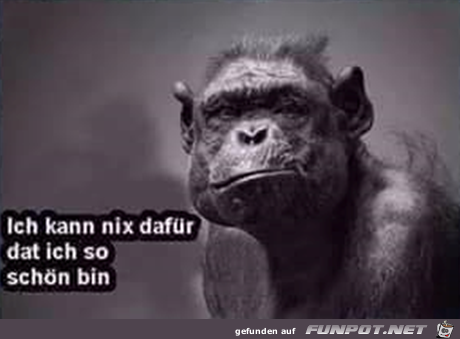 Ich kann nix dafür Ich kann nix dafür