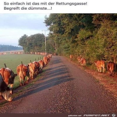 Rettungsgasse.jpg von Fabioma