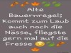 weiter